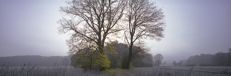 Stille - Landschaften in Brandenburg